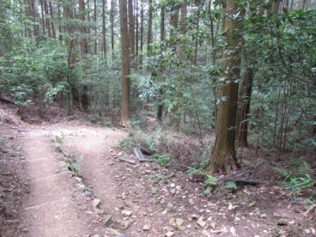 画像26
